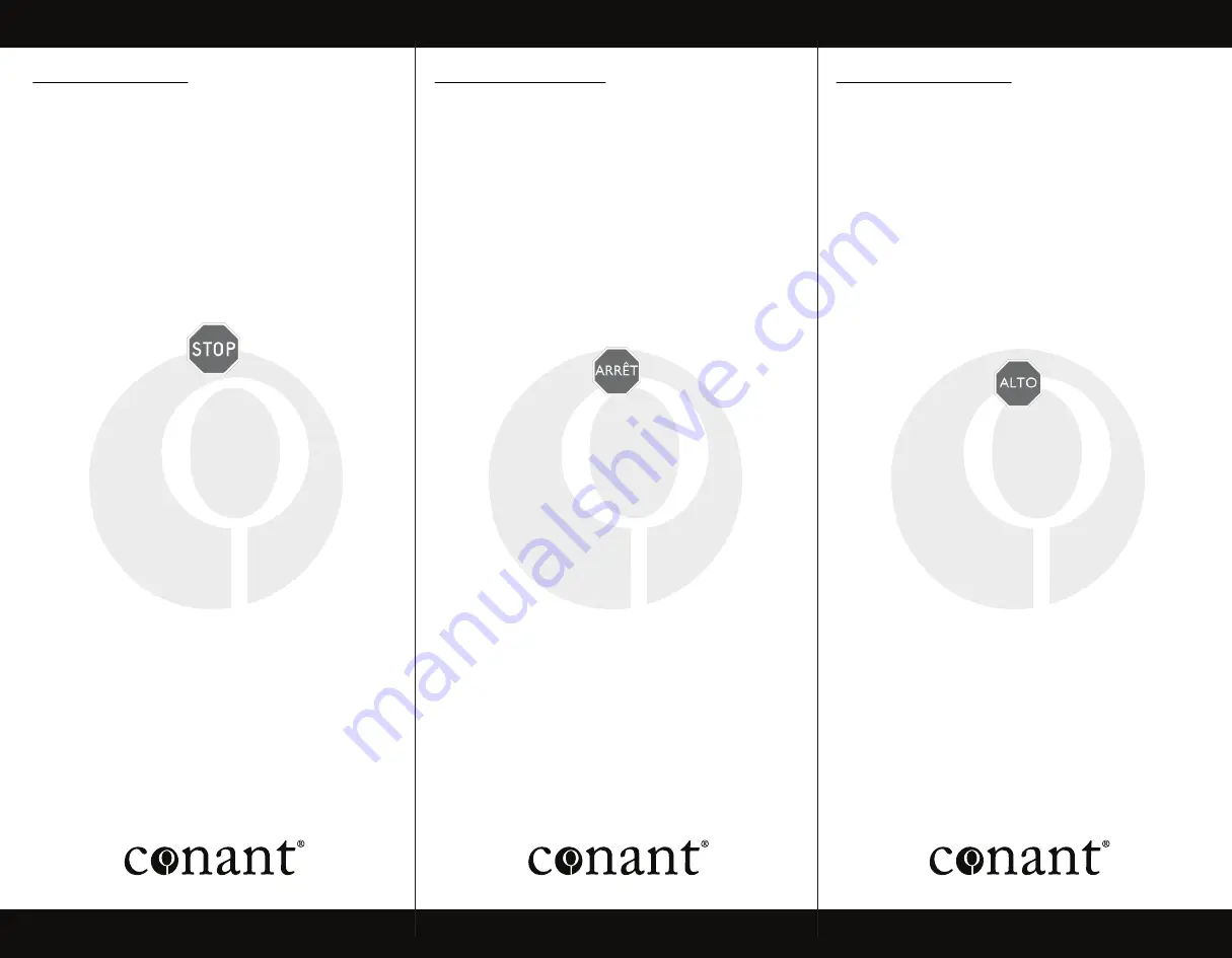 Conant VERMONT GRANDE T17LFB Instructions Download Page 2