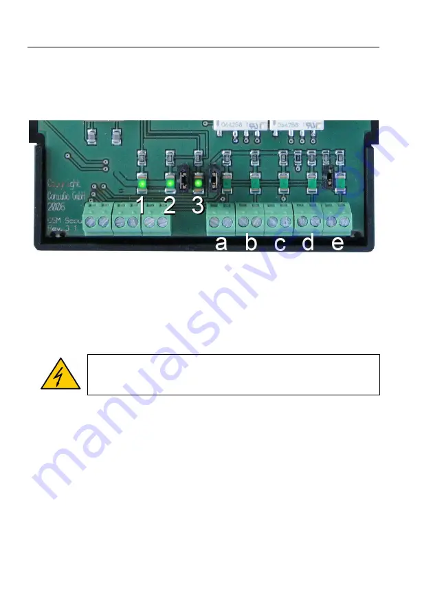 ConiuGo GSM Scout Series Скачать руководство пользователя страница 8