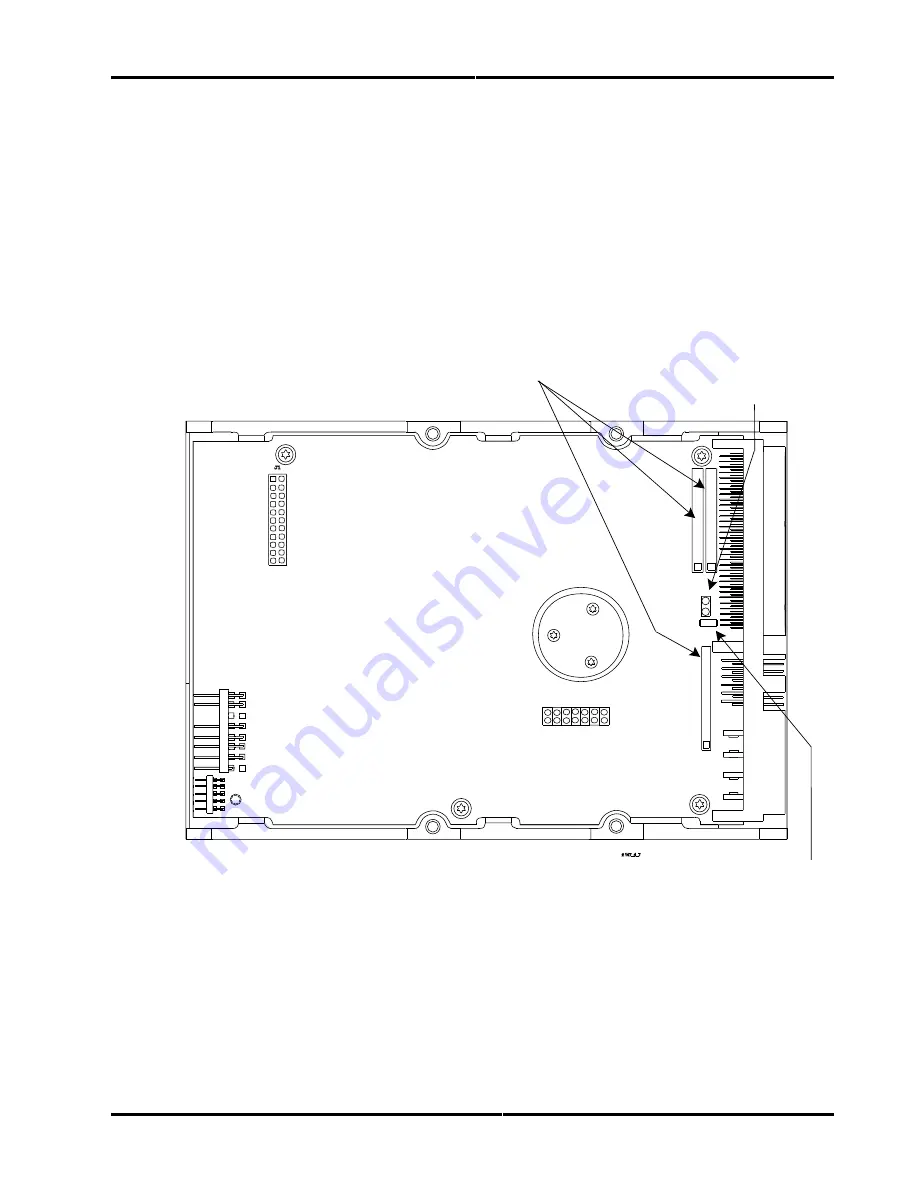 Conner CFP2105 series Скачать руководство пользователя страница 55