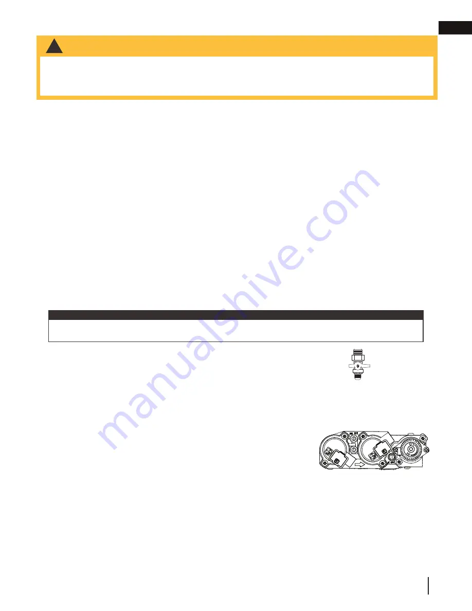 Continental Fireplaces CBL36-1 Series Скачать руководство пользователя страница 37