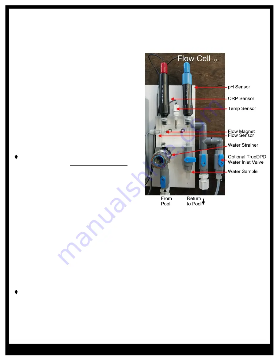 ControlOMatic POOLWARDEN PW-Plus Installation Manual Download Page 11