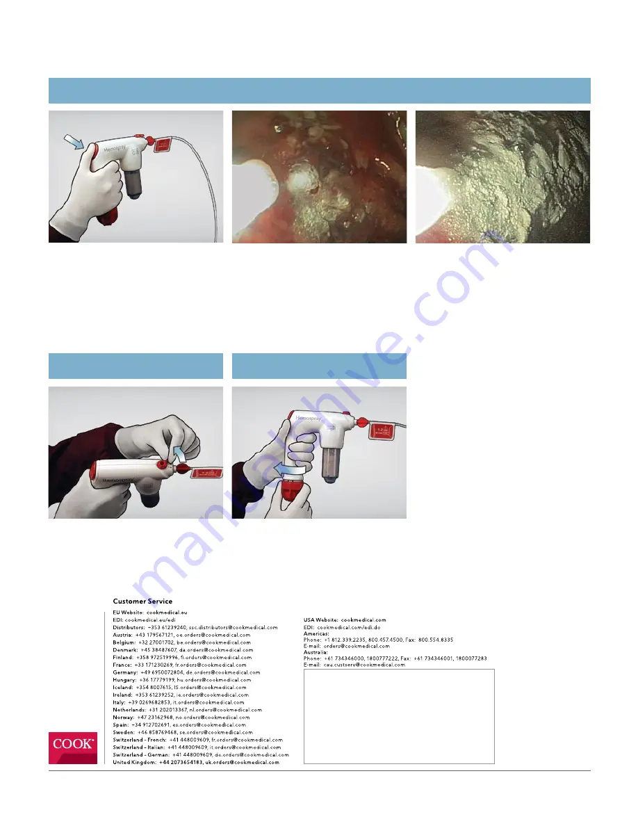 COOK Medical Hemospray Quick Reference Manual Download Page 2