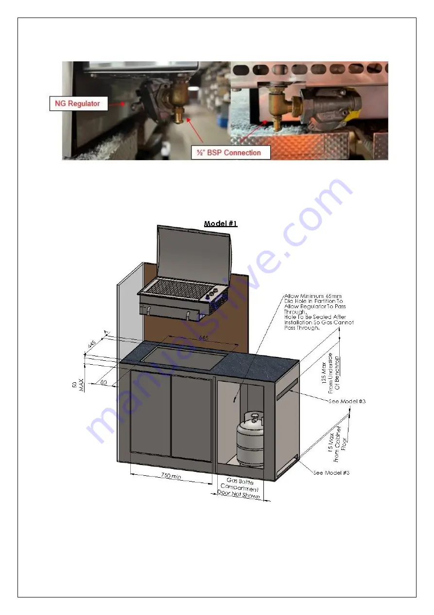 COOKOUT INFINITY INF-001-SS Instruction Manual Download Page 11