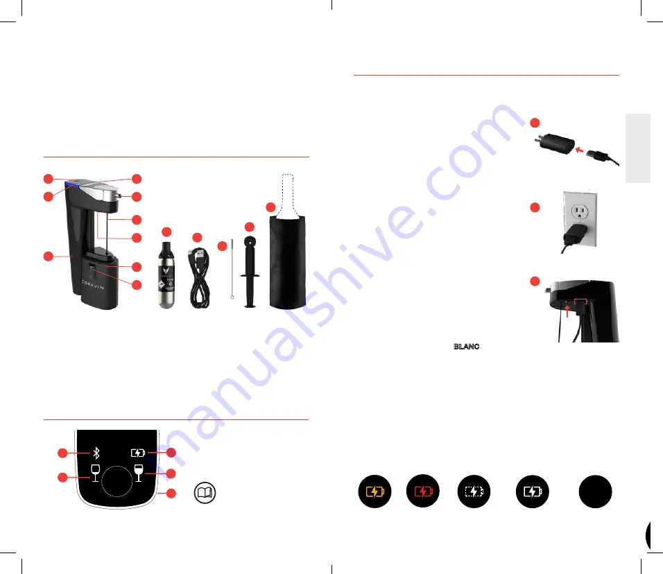 CORAVIN Model Eleven Manual Download Page 12