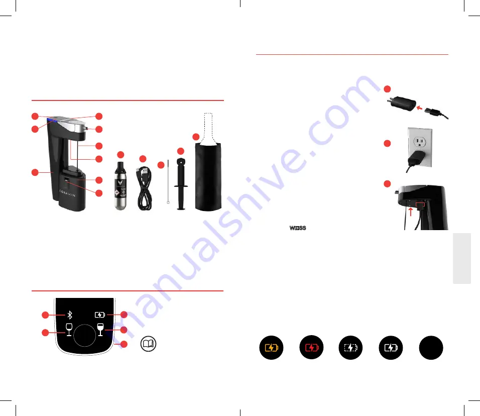 CORAVIN Model Eleven Скачать руководство пользователя страница 36