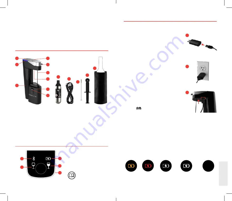 CORAVIN Model Eleven Manual Download Page 52