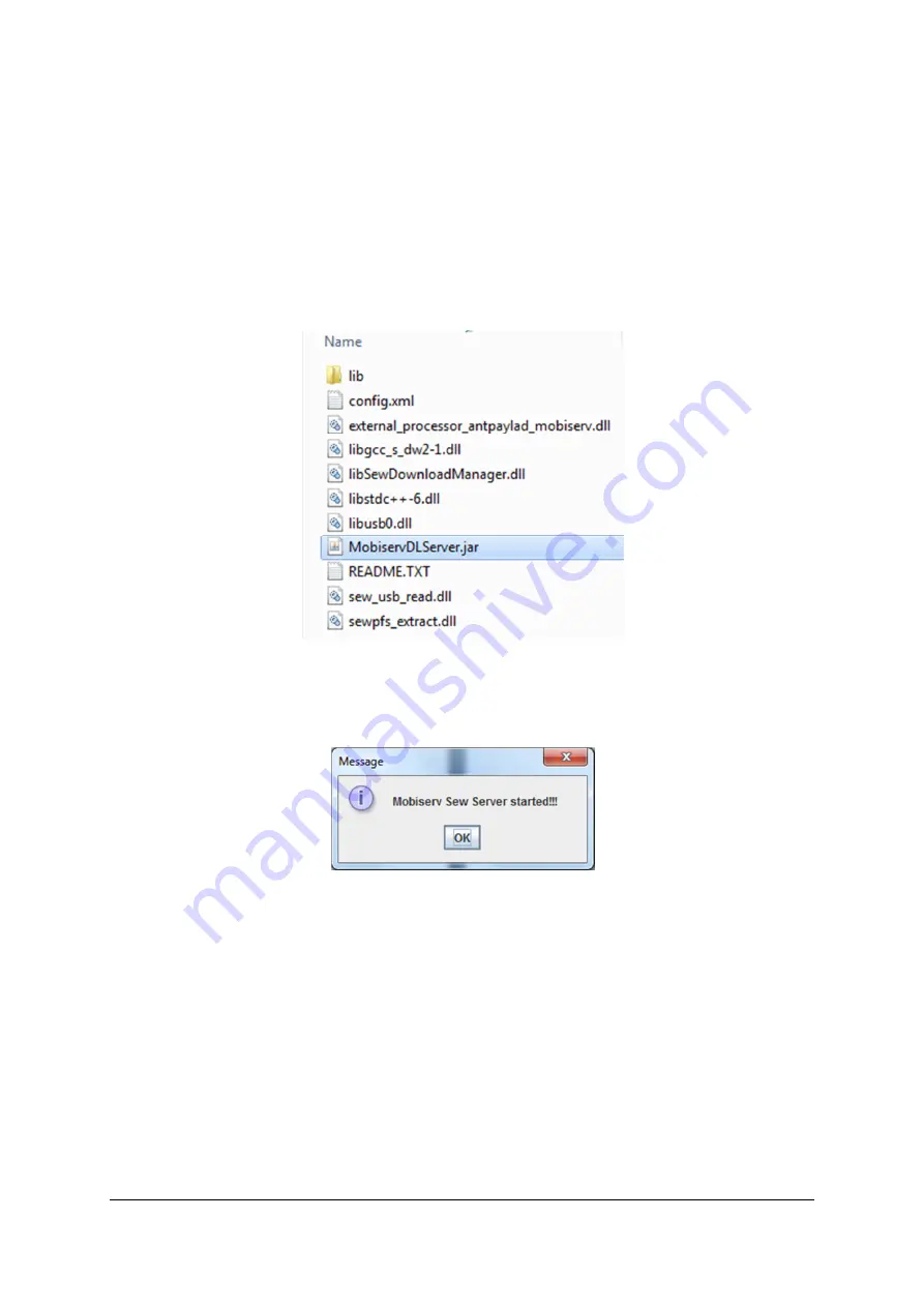 Cordis MOBISERV FP7 248434 Manual Download Page 32