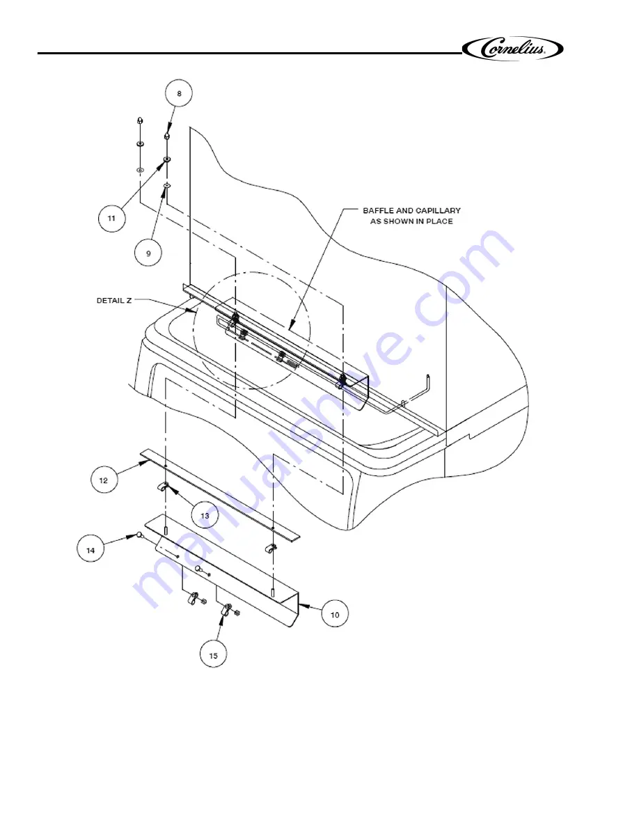 Cornelius P/N 620028801 Скачать руководство пользователя страница 4