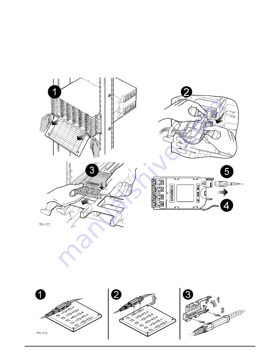 CORNING EDGE8 Series Manual Download Page 24