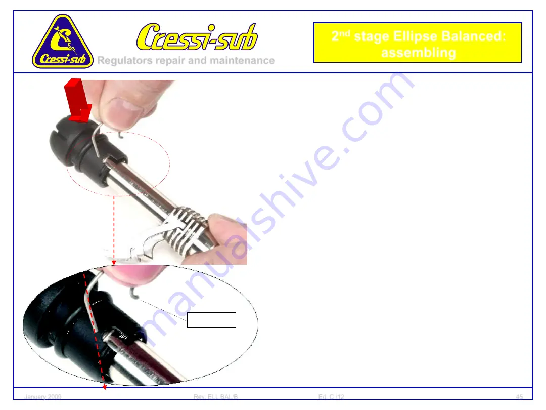 Cressi-sub 2nd Stage Ellipse Balanced Скачать руководство пользователя страница 45