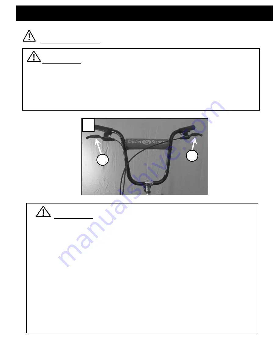 Cricket CST17 Owner'S Manual Download Page 4