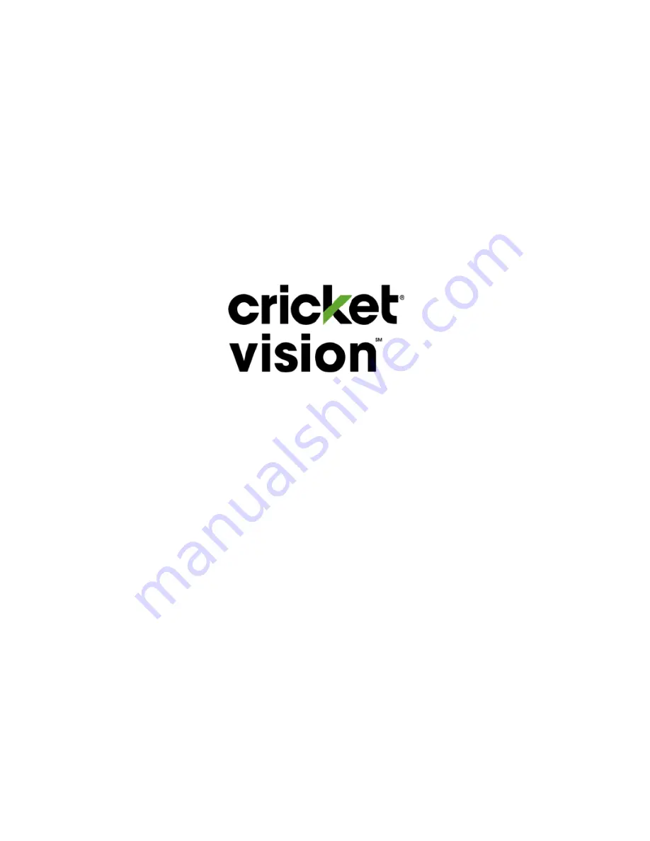 Cricket Vision Скачать руководство пользователя страница 1