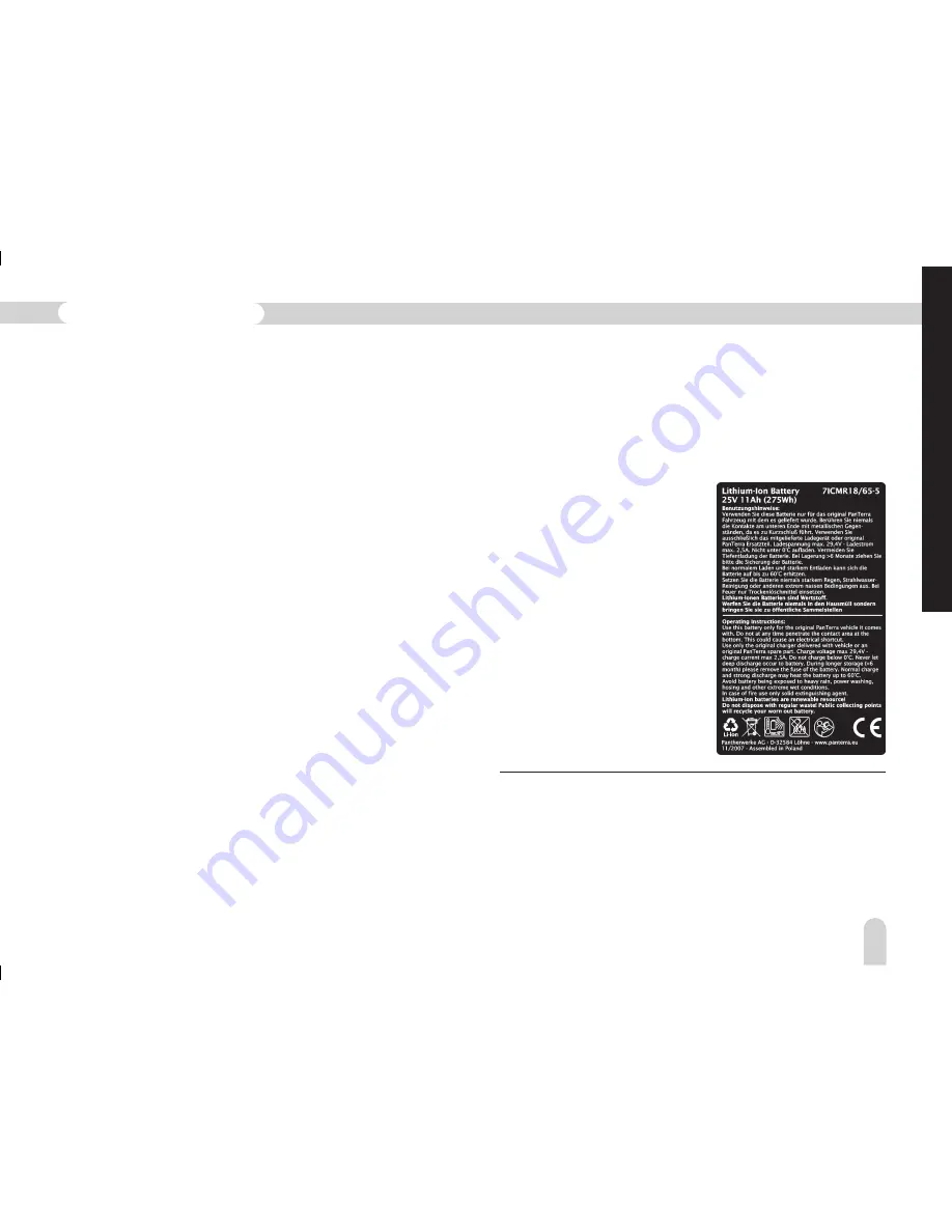 Crosswave ED-2 EX Operating Instructions Manual Download Page 31