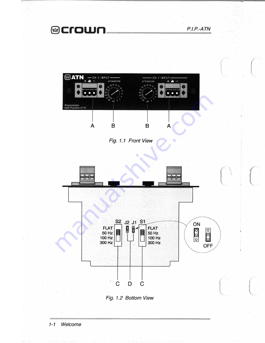 Crown PIP-ATN Скачать руководство пользователя страница 2