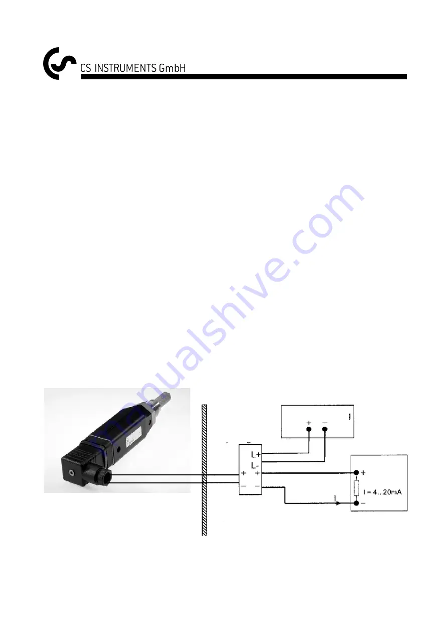 CS Instruments FA 300-2 Ex Скачать руководство пользователя страница 8