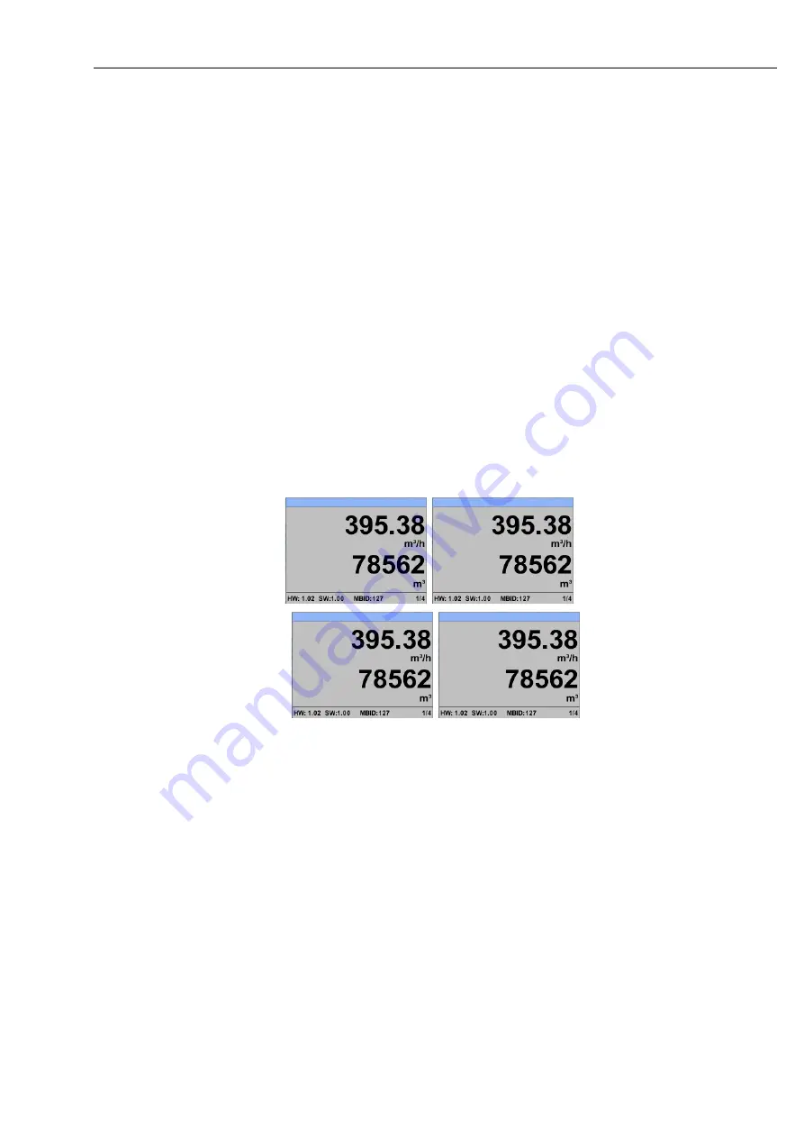 CS Instruments Vortex VX 570 Instruction Manual Download Page 43