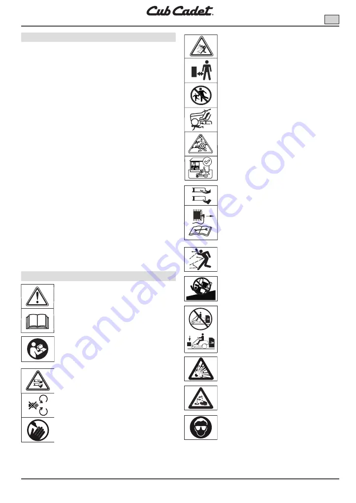 Cub Cadet 17CIDGHB603 Manual Download Page 171