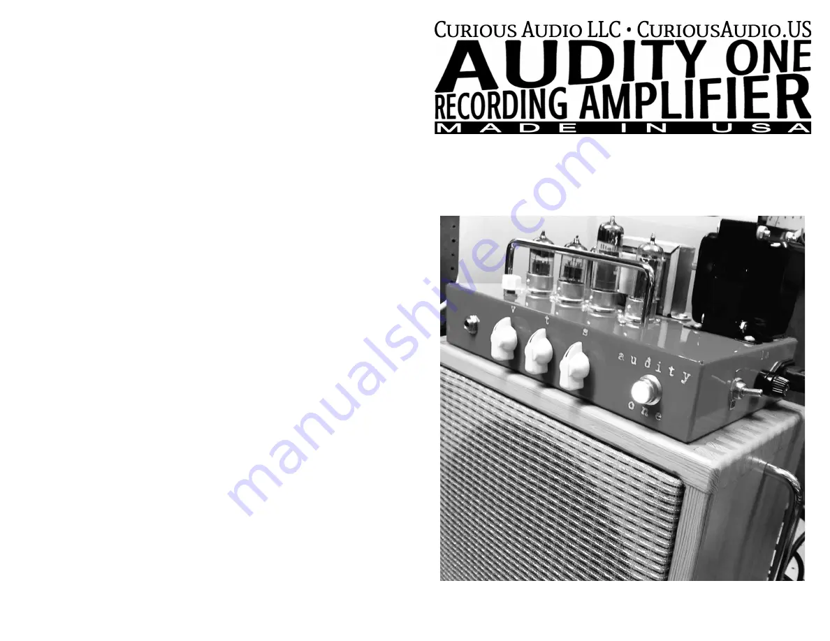 Curious Audio Audity One Owner'S Manual Download Page 1