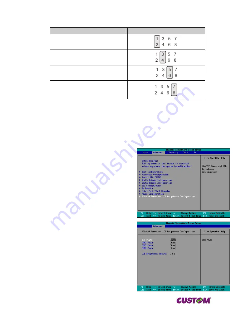 Custom Audio Electronics VT15 Скачать руководство пользователя страница 29