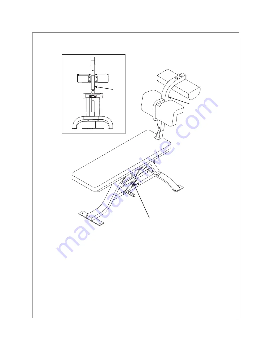 CYBEX Free Weight Owner'S Service Manual Download Page 10