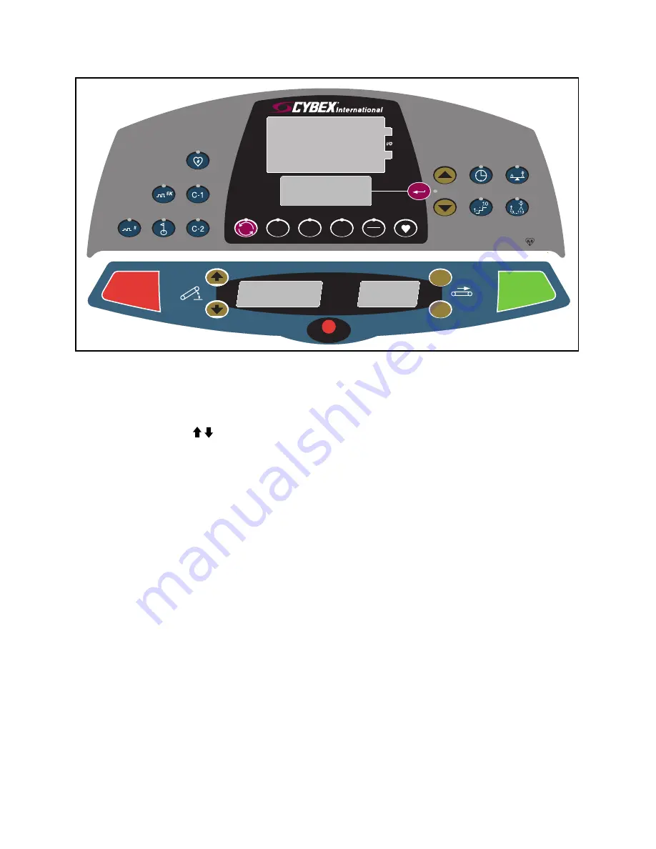 CYBEX TROTTER Owner'S Service Manual Download Page 22