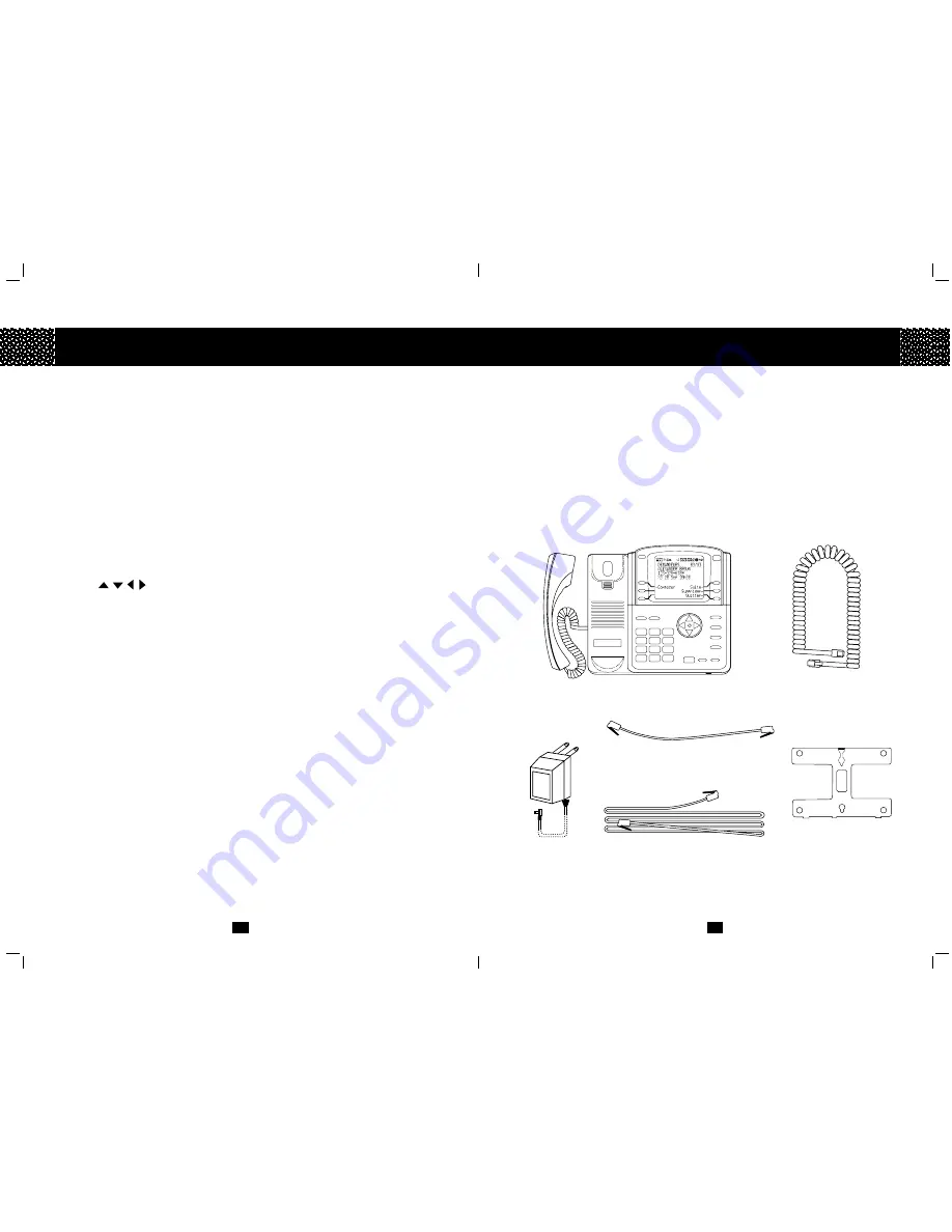 CYBIO CYBIOLINK P-I Owner'S Manual Download Page 4