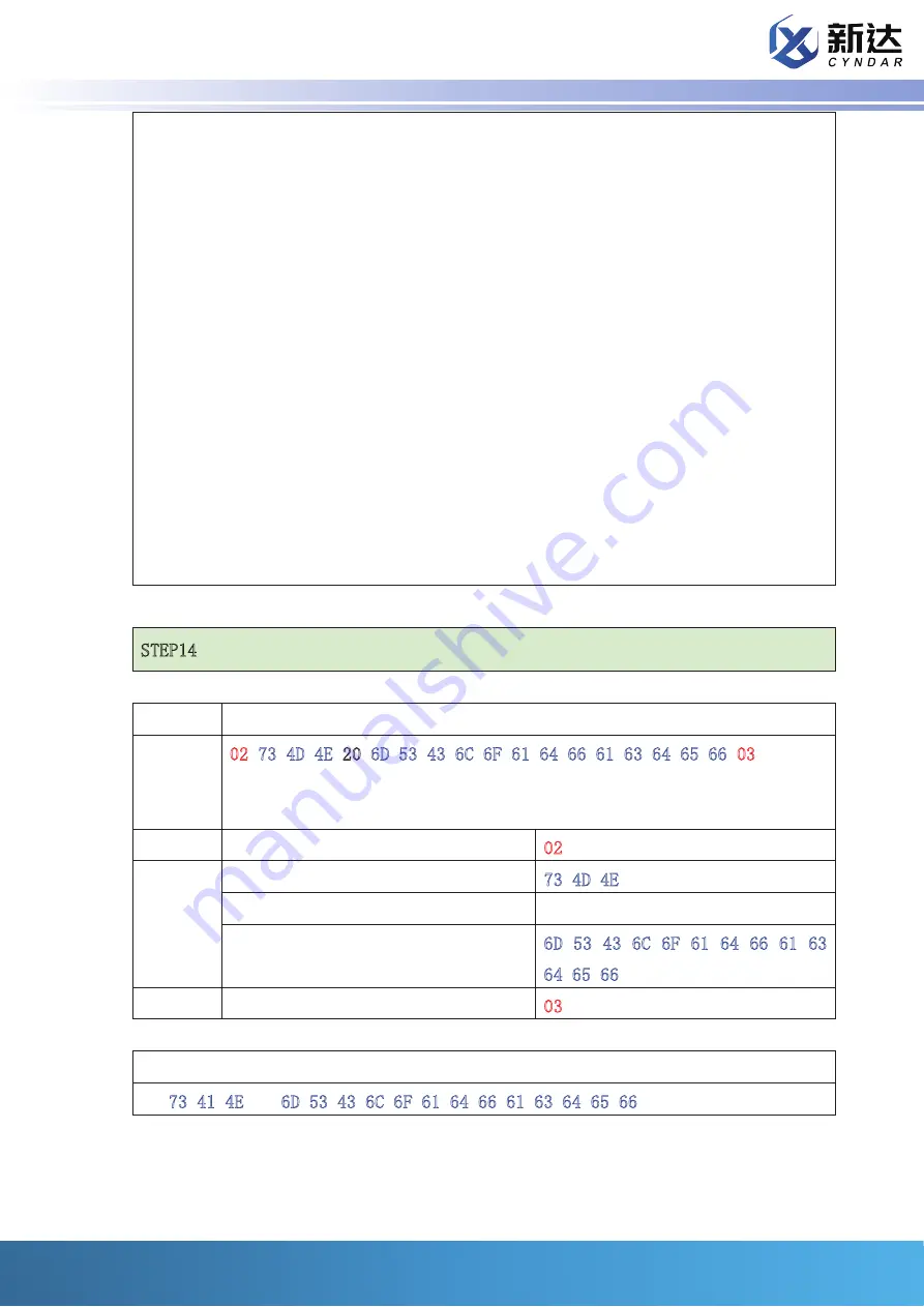 Cyndar Electronic Technology XD-TOF-25 Operating Instructions Manual Download Page 31