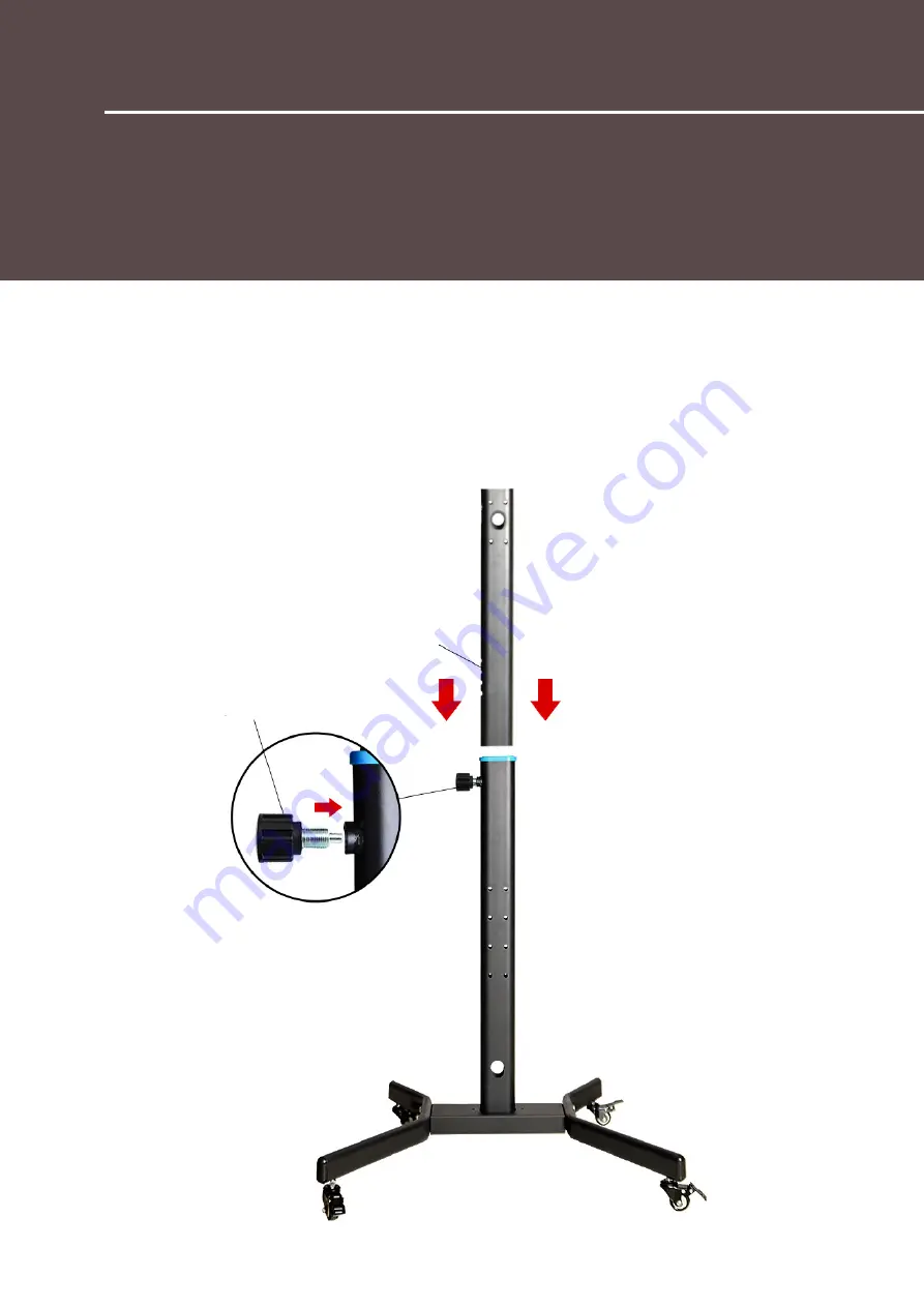 CytoLED Pentaplex Assembly Manual Download Page 7