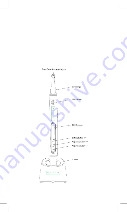 D Devices D Endo Rotatory Скачать руководство пользователя страница 4