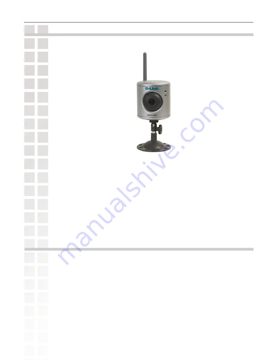 D-Link DCS-G900 - SECURICAM Wireless G Internet Camera... Скачать руководство пользователя страница 5