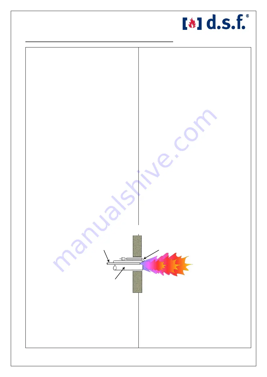 d.s.f. IG49 Series Operating Manual Download Page 14