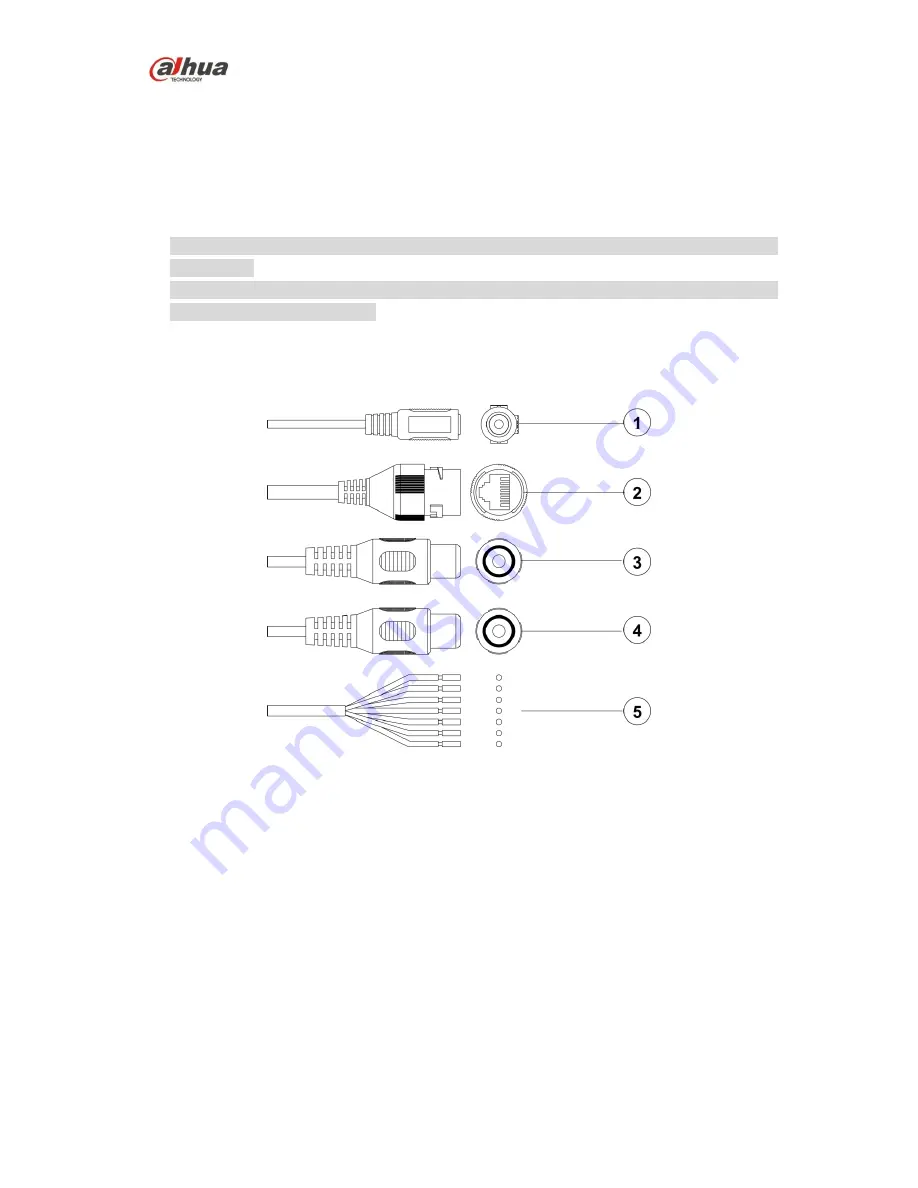 Dahua DH-IPC-PDBW8800 Скачать руководство пользователя страница 6