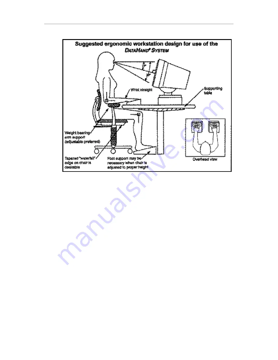 DataHand Professional II User Manual Download Page 20