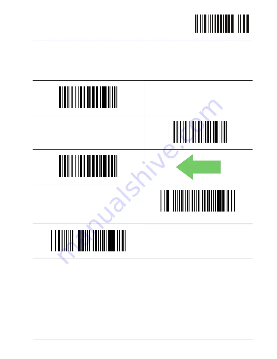 Datalogic Cobalto CO5330 Скачать руководство пользователя страница 123