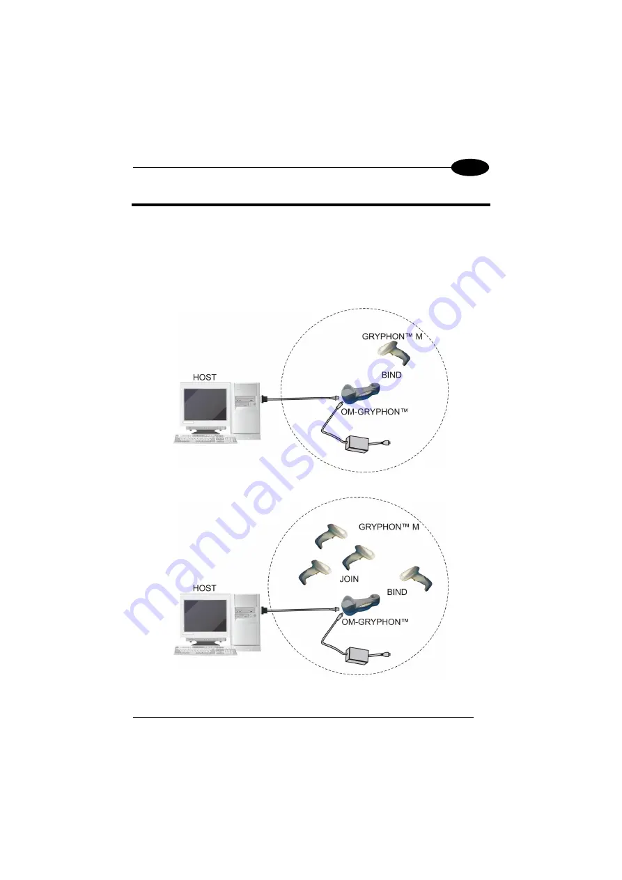 Datalogic Gryphon Series Скачать руководство пользователя страница 19