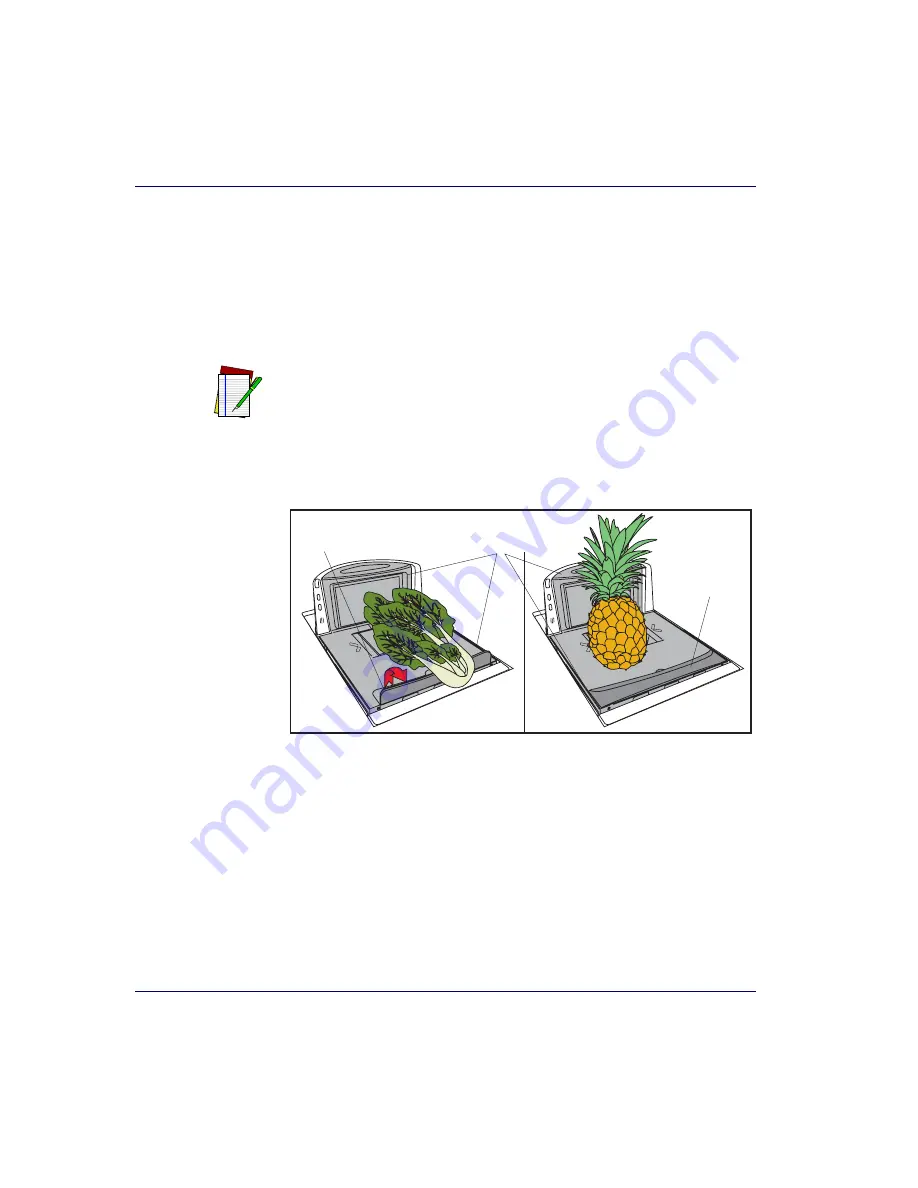 Datalogic MAGELLAN 8300 Скачать руководство пользователя страница 76