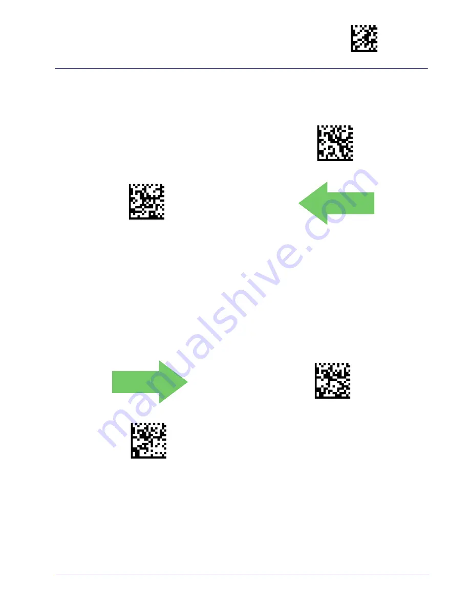 Datalogic RIDA DBT6400 Скачать руководство пользователя страница 179