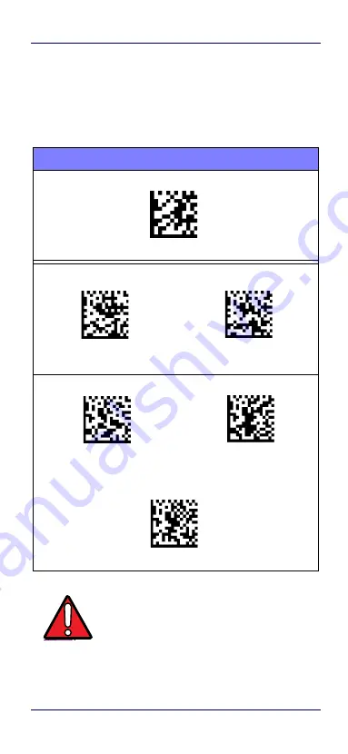 Datalogic RIDA DBT6400 Скачать руководство пользователя страница 27