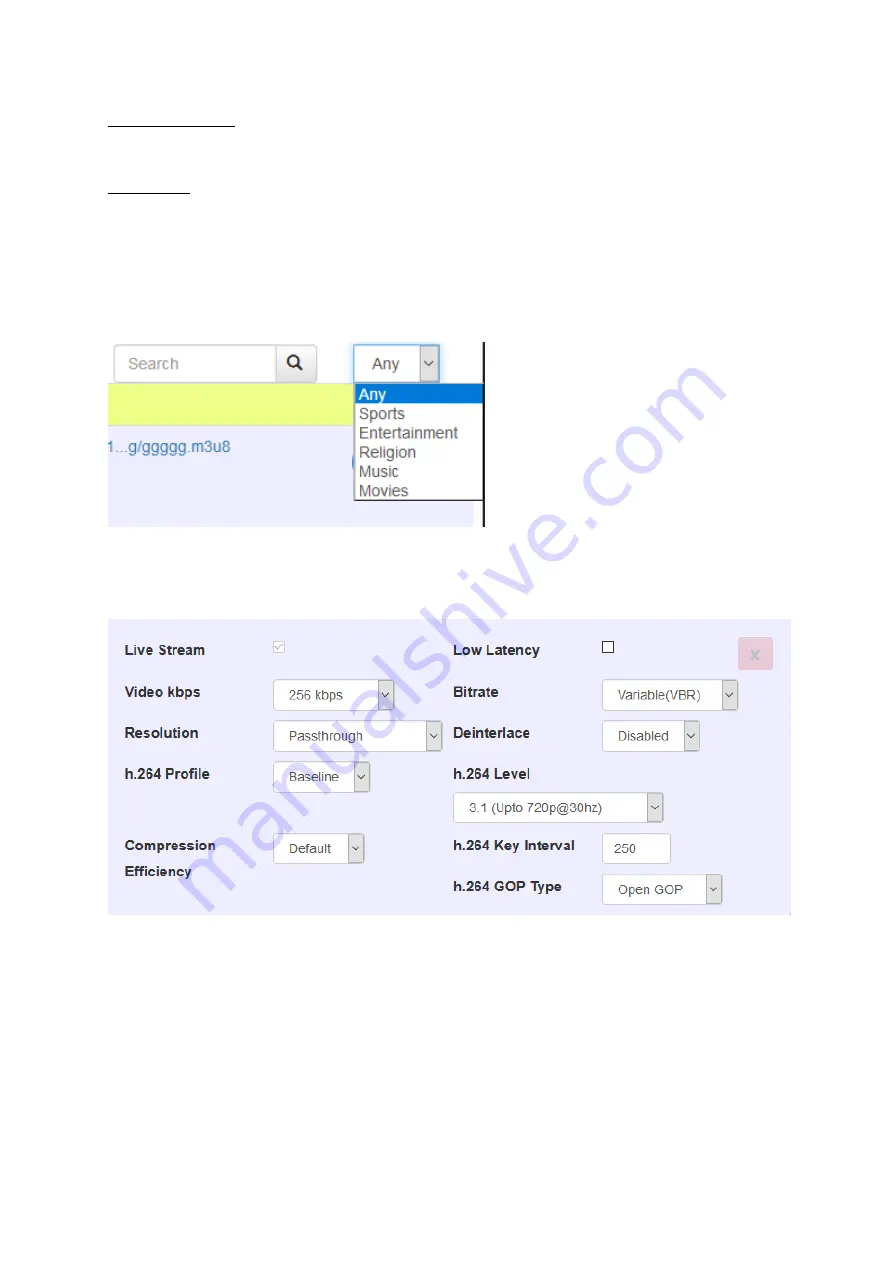 Datavideo DVS-100 Instruction Manual Download Page 29