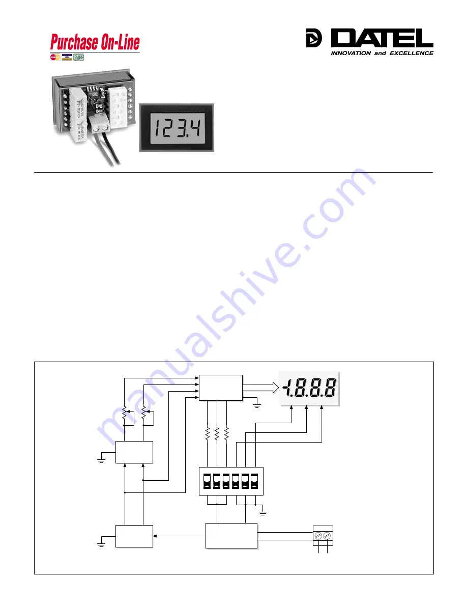 Datel DMS-20LCD-4/20 Series Manual Download Page 1