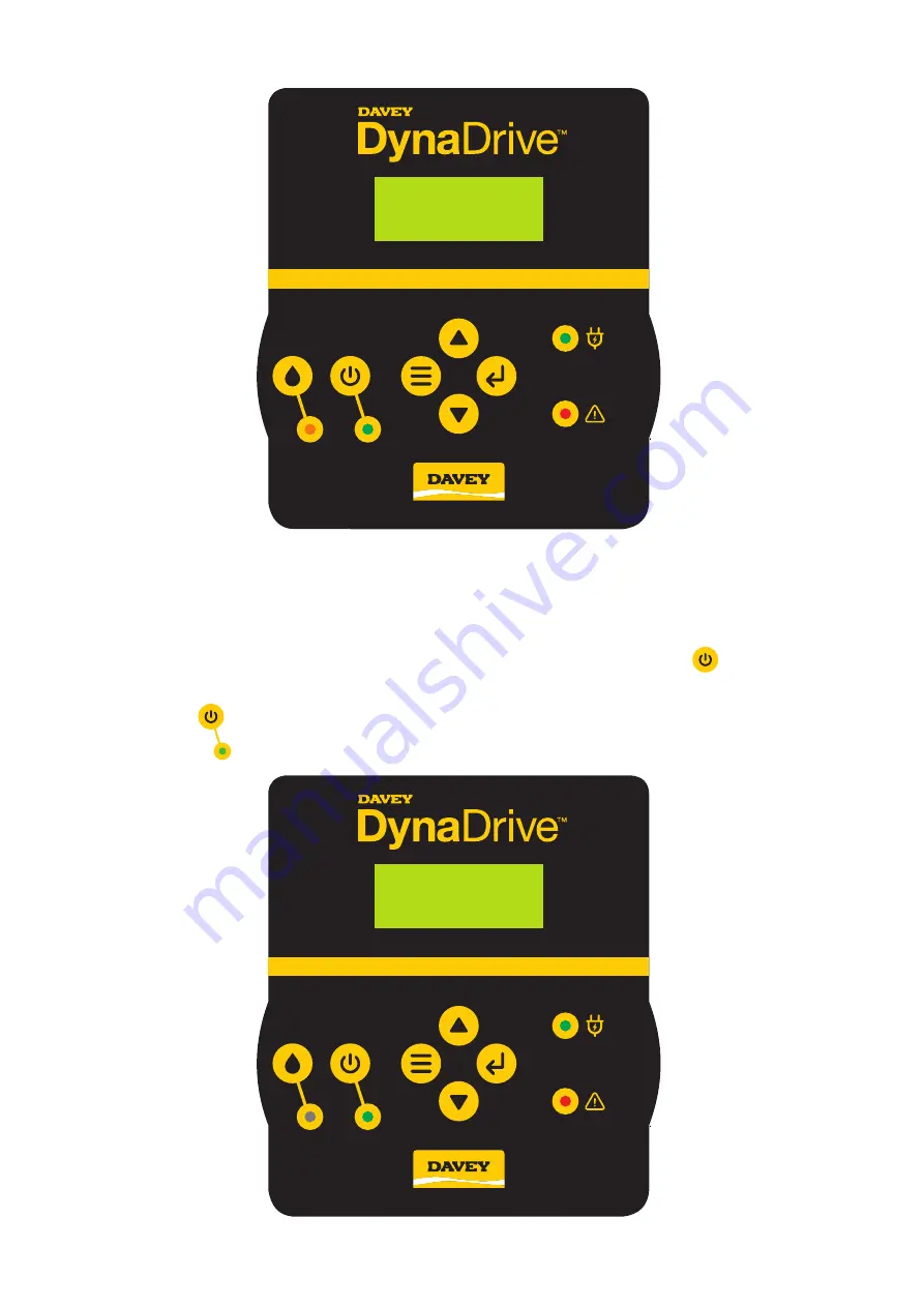 Davey DynaDrive DD60-10 Скачать руководство пользователя страница 22