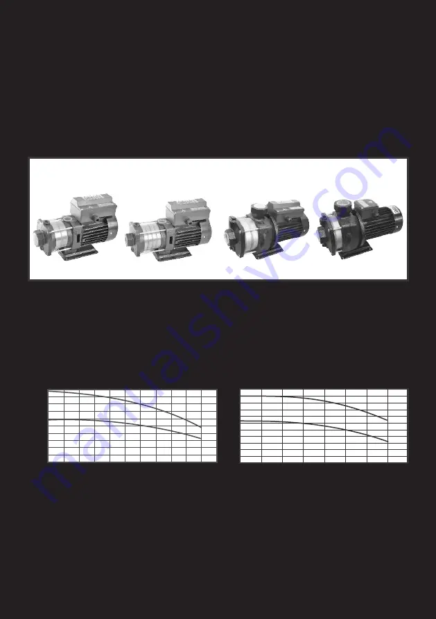 DAYLIFF DB Скачать руководство пользователя страница 4