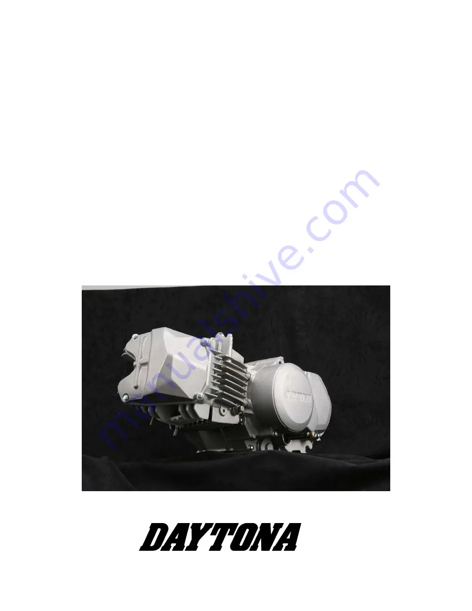 Daytona Anima 190F Owner'S Manual Download Page 1