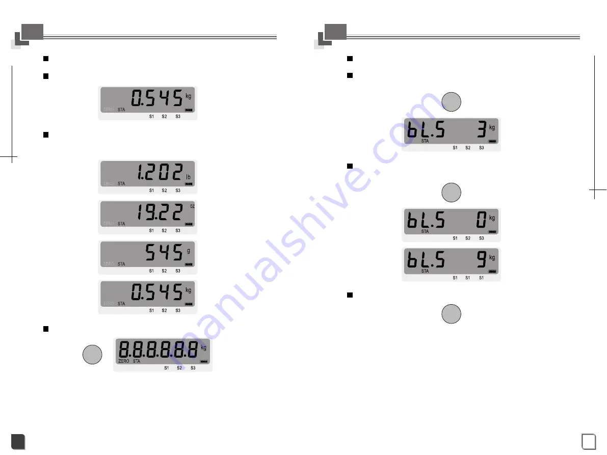 DB Electronics DSW-100 Series Скачать руководство пользователя страница 10