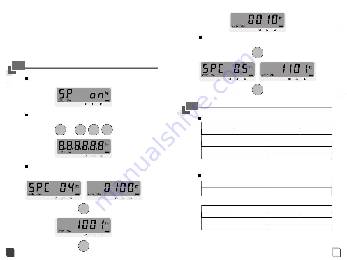 DB Electronics DSW-100 Series Скачать руководство пользователя страница 13