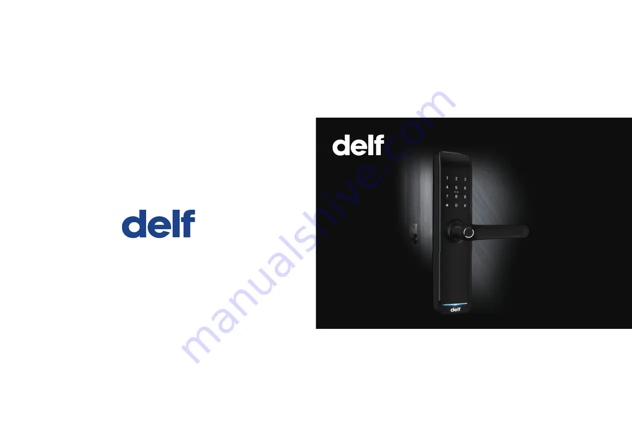 delf DDL200 User Manual Download Page 1