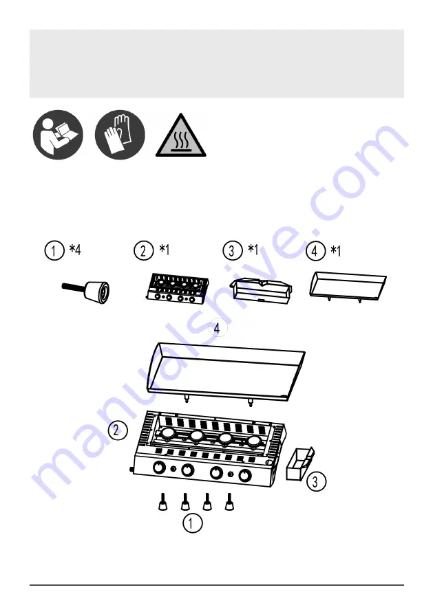 dellonda DG23 Скачать руководство пользователя страница 2