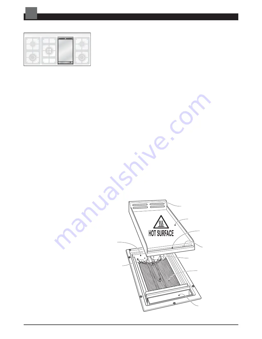 DeLonghi AP 1246 G Installation And Service Instructions Manual Download Page 24