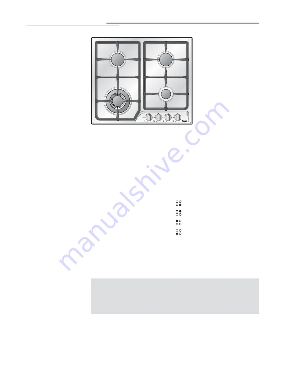 DeLonghi DEGCT424 Series Скачать руководство пользователя страница 4