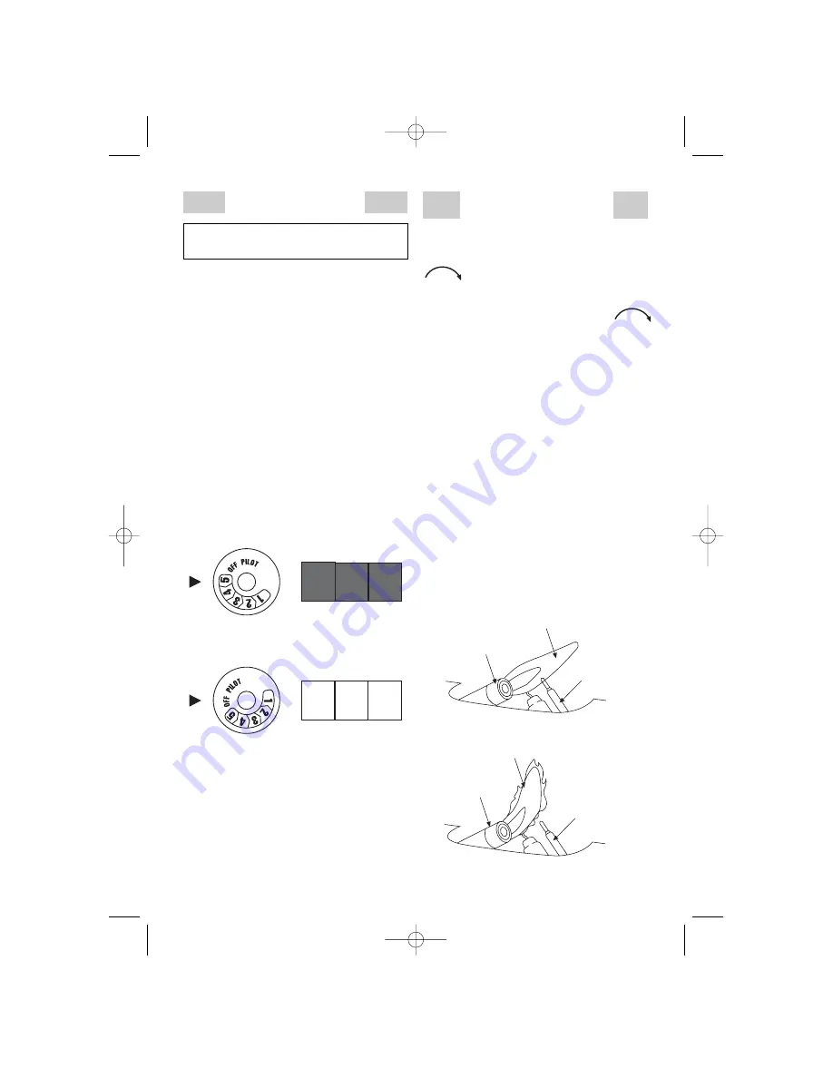 DeLonghi WIR2 Instructionn Manual Download Page 12